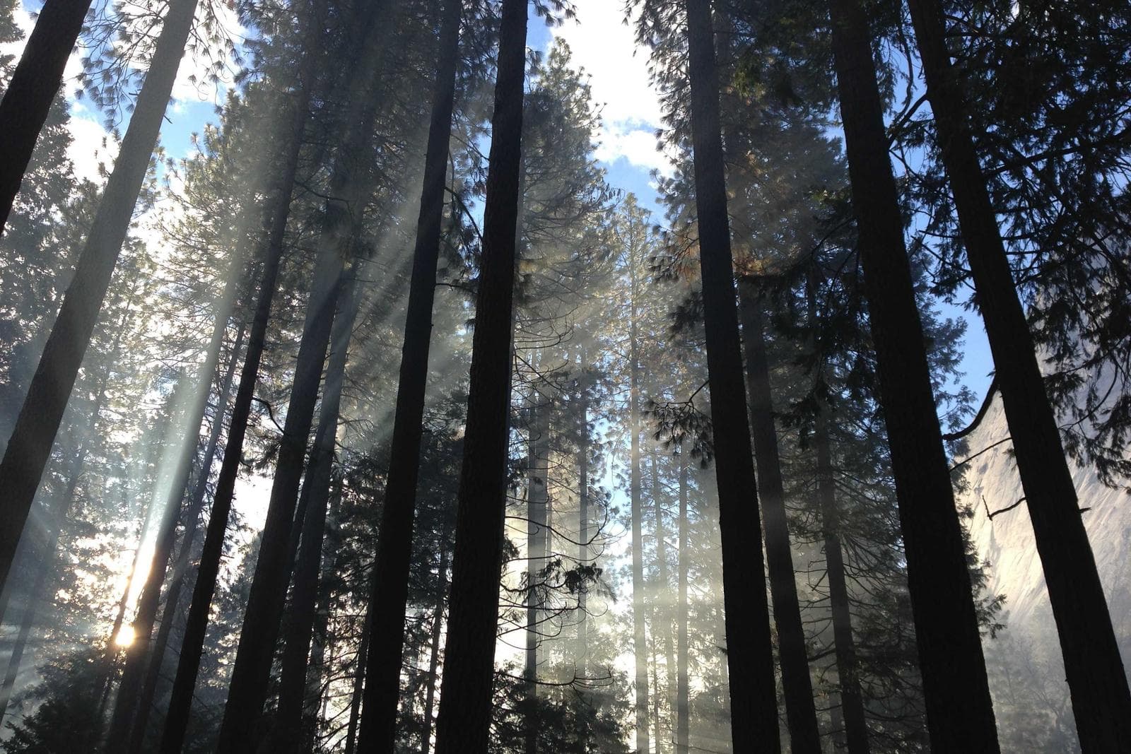 Old Québec Pied-à-terre — photo 4